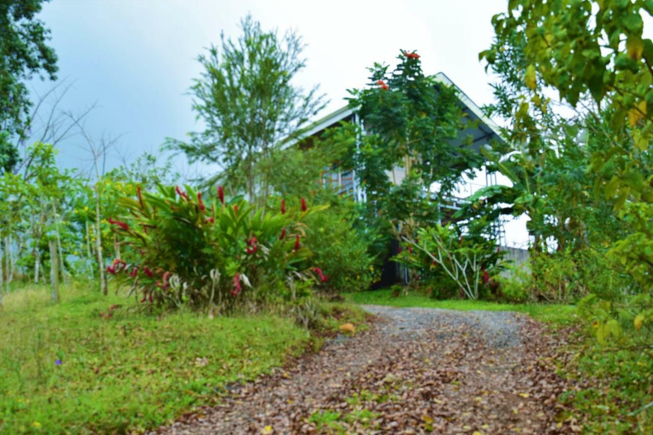Hotel Rio Celeste Finca L' Etoile Celeste El Achiote Exteriör bild